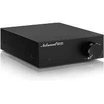 Amazon.co.jp: Nobsound NS-21G モノラルサブウーファーアンプ 100W